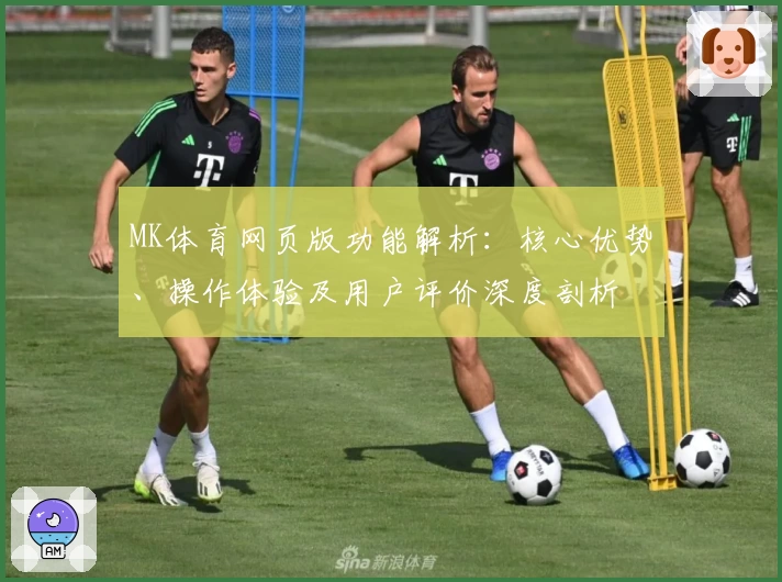 MK体育网页版功能解析：核心优势、操作体验及用户评价深度剖析